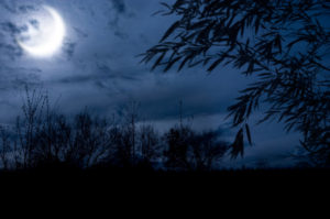 Tả cảnh đêm trăng ở quê em